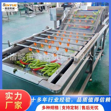 工厂用全自动果蔬气泡清洗机竹笋鼓泡翻浪清洗机松茸去泥清洗机
