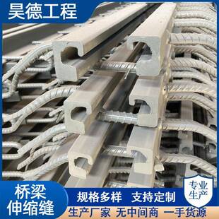 伸缩装 置 C40F60D80异型钢毛勒缝模数式 桥梁伸缩缝GQF
