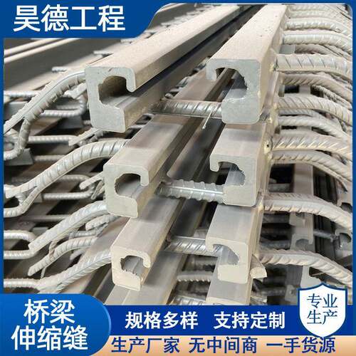 桥梁伸缩缝GQF-C40F60D80异型钢毛勒缝模数式伸缩装置