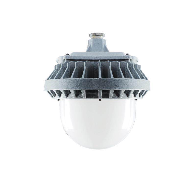 尚为SW8110 50W三防灯防尘防水防腐工厂电厂LED防爆 灯100W