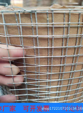 假山专用铁丝网镀锌电焊网建筑水泥防裂保温网电焊网格批发建筑防