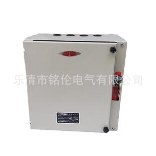 100A熔断式 HH12型封闭式 铁盒开关 100 负荷开关 铁壳开关HH12