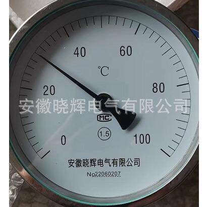 万向型S双-金属温度计WS-481WSS581