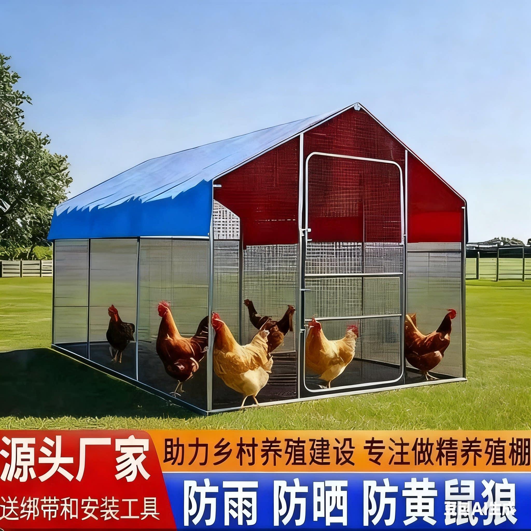 鸡笼子家用室外大号户外养鸡专用笼新型养鸡笼防雨农村鸡舍养鸡棚图片