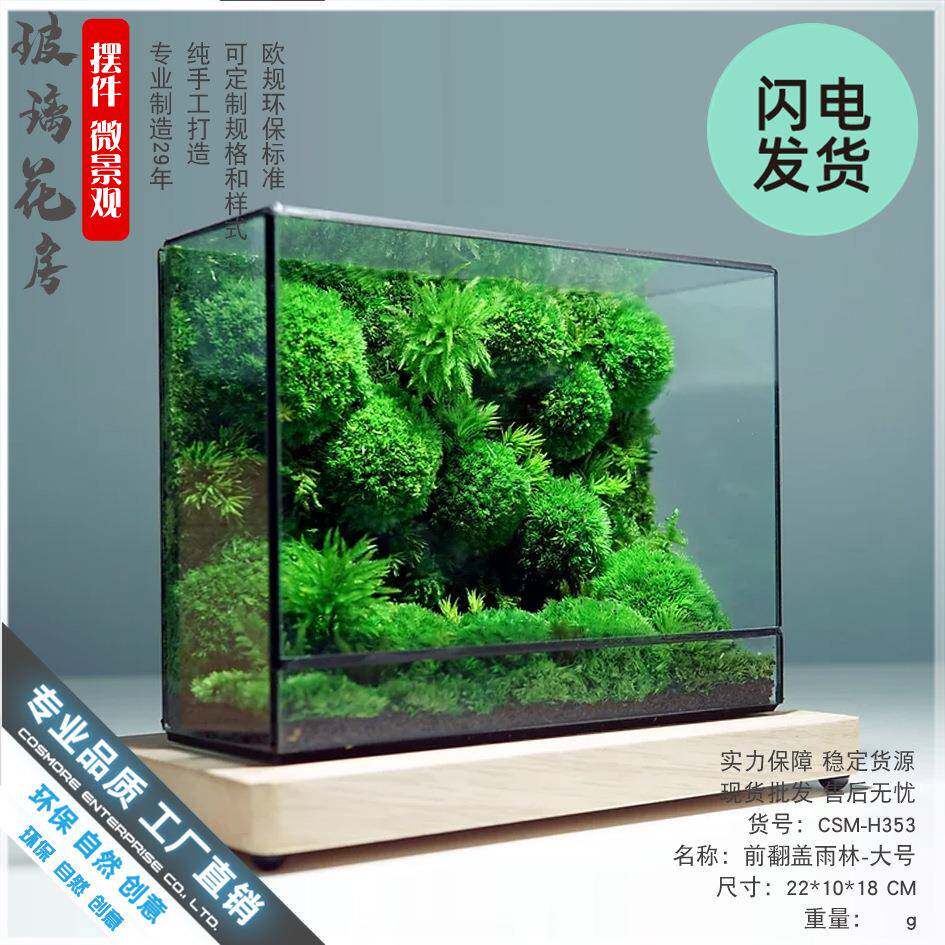 生态藓苔微景观绿植盆栽水草鱼缸瓶装造353A景摆件几饰个森林玻璃