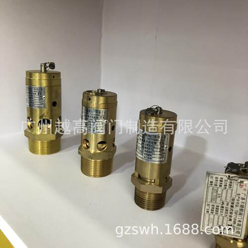 安全阀 A22F-25C氨用全启式安全阀 弹簧式安全阀阀门 国立安全阀