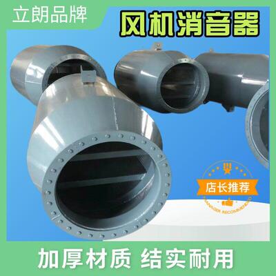 立朗FG 风机消音器 罗茨离心式鼓引轴流风机消声器 烟囱管道降噪