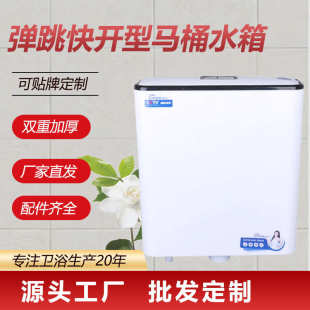 抽水马桶挂家用厚蹲箱冲水大冲蹲坑厕所墙式 便器卫生间套装 节能力