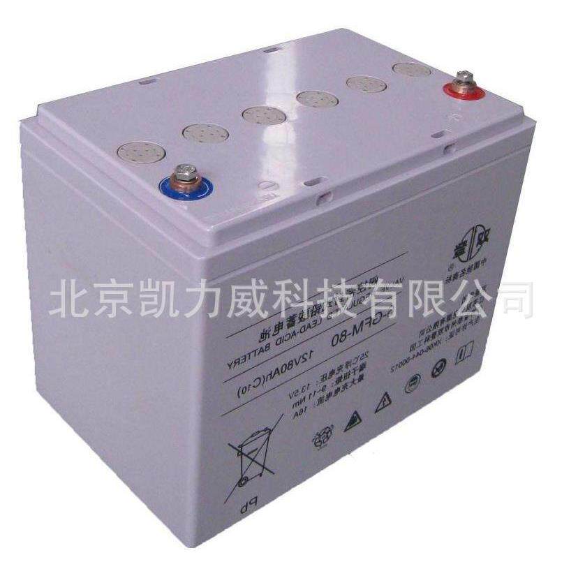 双登蓄电池GFM-300 2V300AH通信 电力 信号系统备用电源