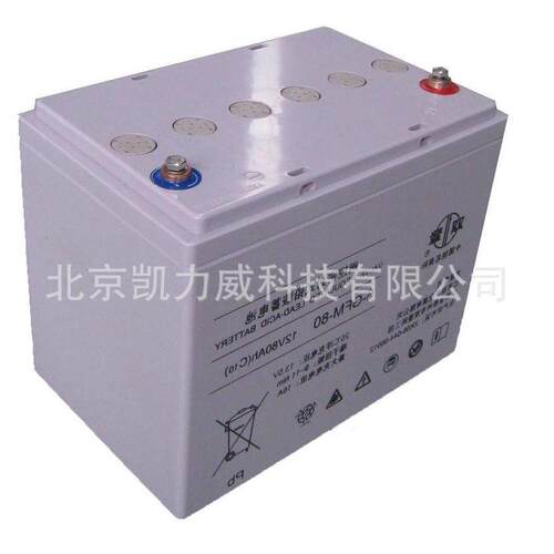双登狭长储能型蓄电池6-FMX-80 12V80AH不间断电源 通信设备配套