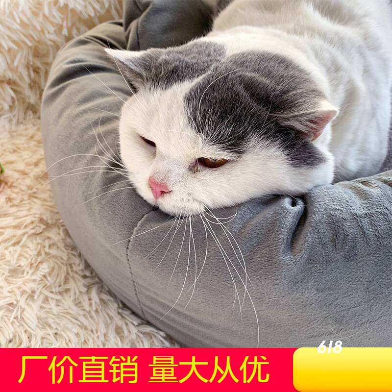 蛋挞窝猫窝狗窝圆形外贸中小型犬猫床冬季窝宠物用品批发宠物窝垫