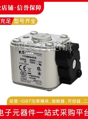 170M4531 170M4532 170M4533 170M4534 170M4535全新熔断器