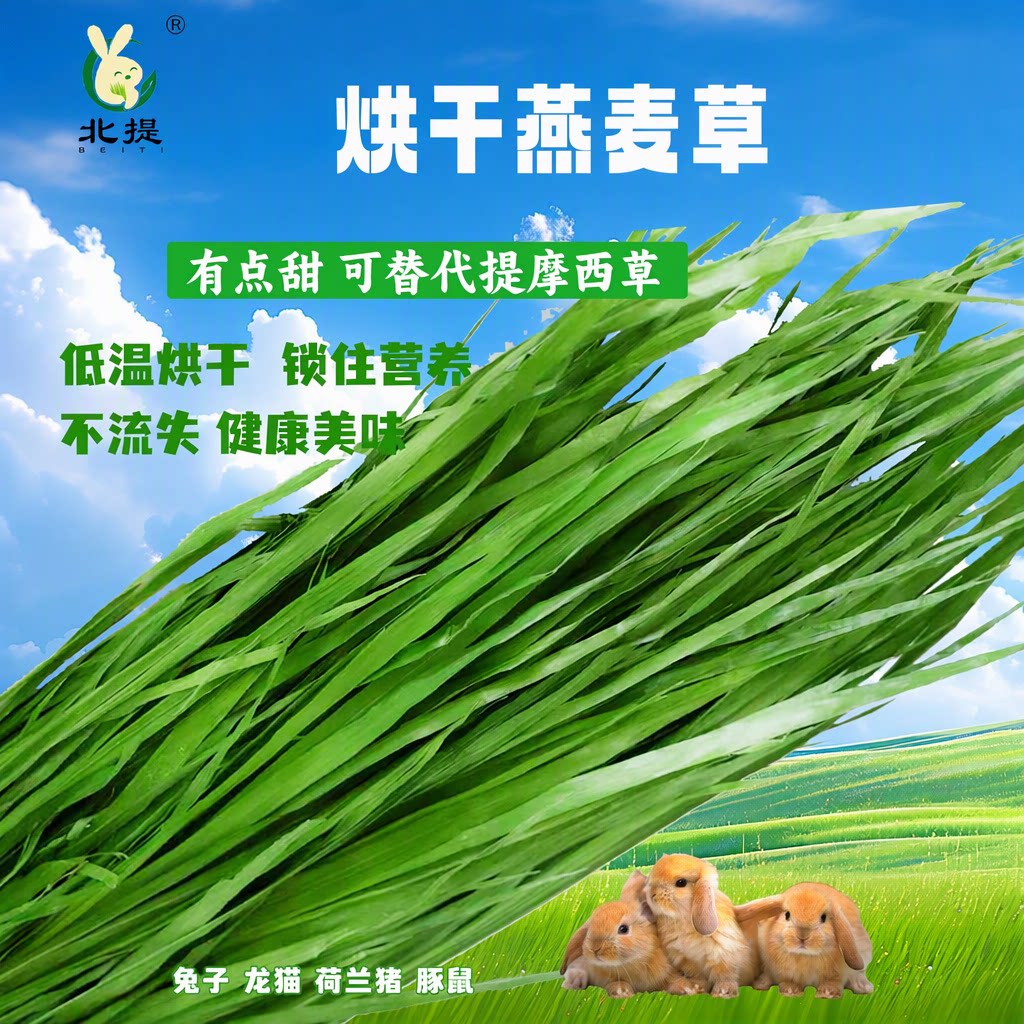 26年岷县北提烘干燕麦草提摩西草龙猫兔子豚鼠磨牙兔草干草饲料