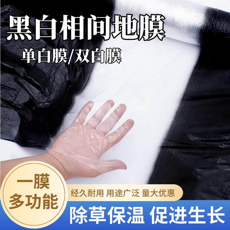 黑白相间地玉膜农用加种植防WKR草厚种花生土豆种菜种甘蔗种米
