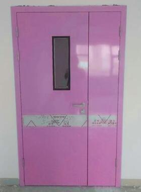 蚌埠市钢质防火防盗门单开门钢化视窗现代简约风格巨梦生产