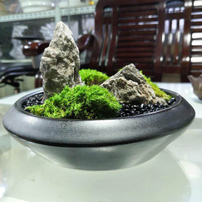 绿植青苔藓盆景微景观新中式假枯山创意办公桌面酒店家居茶几摆件