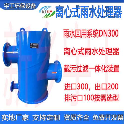 离心式雨水处理器雨水收集回用系统颗粒分离截污过滤一体化装置