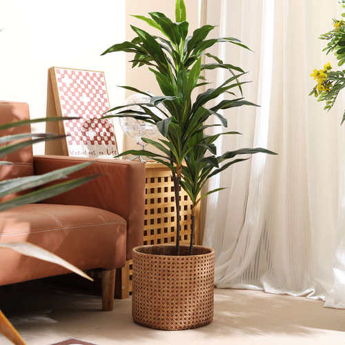 阳台北欧大办公水泥泥花盆室内编织草编仿盆藤编落地镁客厅龟背竹
