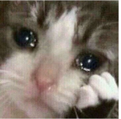 图文简述玺堡乳胶床垫怎么样,写给新手两点建议