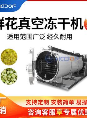 鲜花茶叶大型冻干机柠檬片水果玫瑰花瓣百合草莓智能真空冷冻机