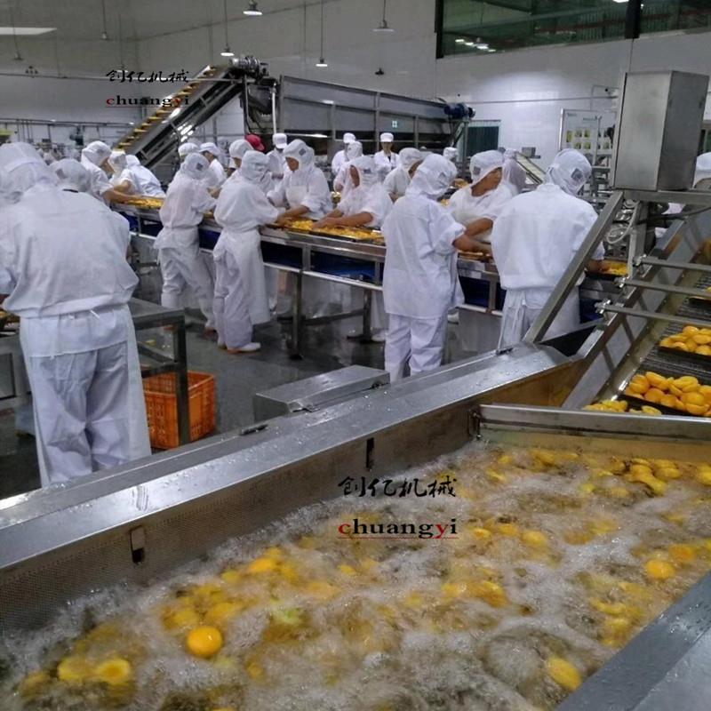 黄桃气泡清洗机生产商 水果罐头加工成套设备 不锈钢黄桃清洗机