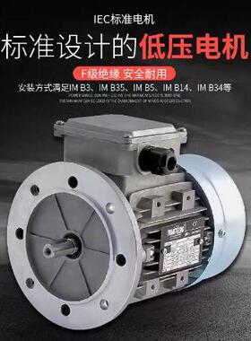 进口意大利原装诠世TRANSTECNO三相异步电机MS/MY系列 MS80B4-B5