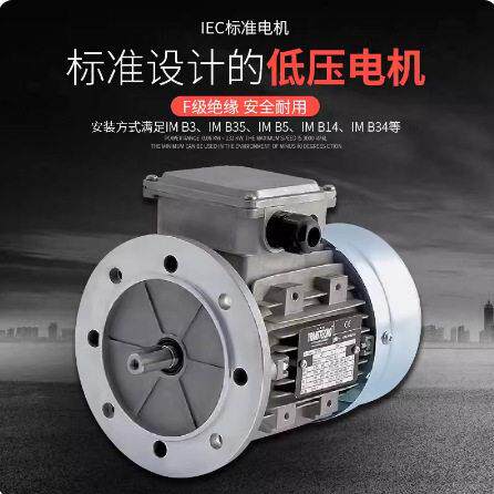 进口意大利原装诠世TRANSTECNO三相异步电机MS/MY系列 MS80B4-B5