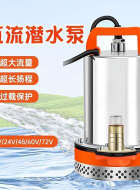 电车专用水泵12v24v36v48v72v伏低压抽水泵小型接电瓶农用潜水泵