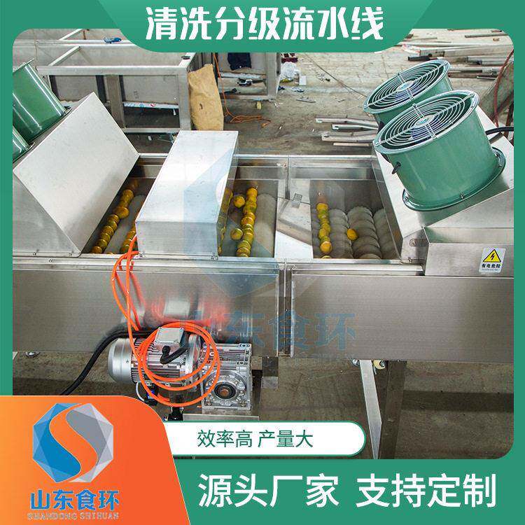苹果橘子分级流水线 土豆萝卜清洗分级机 红薯干成套设备