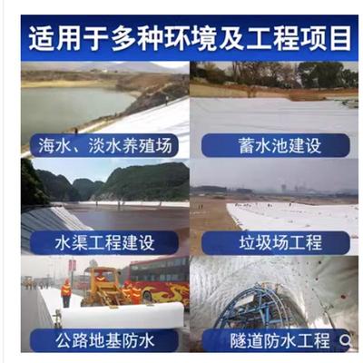 四川鱼塘防渗膜HDPE黑色土工膜加厚护坡养殖膜防水布鱼虾池膜蓄水