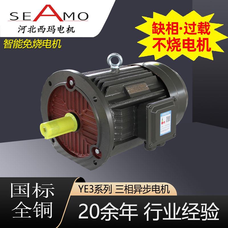 北玛电机定制生产YE3-6极2.2高254W-315w效三相西异河步电动机