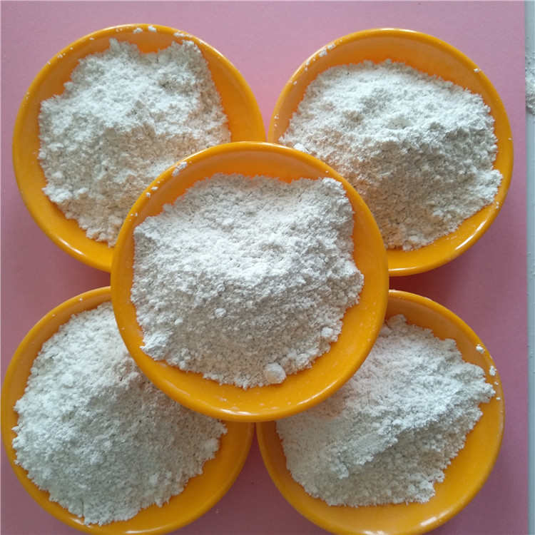 厂家销售贝壳粉 超细超白 装潢用贝壳粉 涂料用贝壳粉 价格优惠