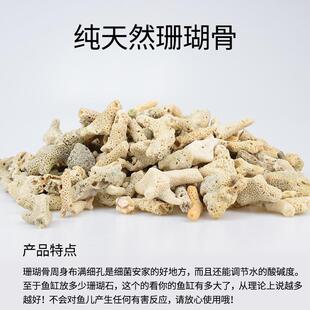 珊瑚骨滤材鱼缸天然造景礁石鱼池过滤材料珊瑚石大块净水滤石锦鲤