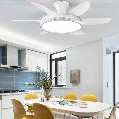 风扇灯厂家直销吊扇灯餐厅客厅卧室家用吸顶灯风扇吊灯一体大尺寸