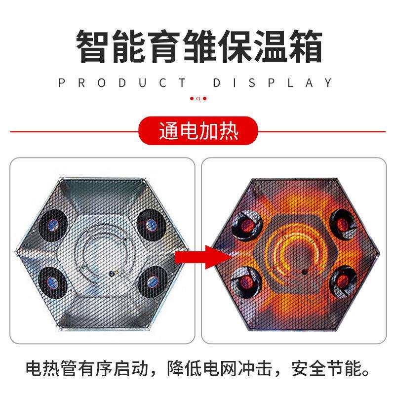 育雏保温器家禽养殖保暖设备全自动控温鸡鸭鹅养殖加温电热伞取暖