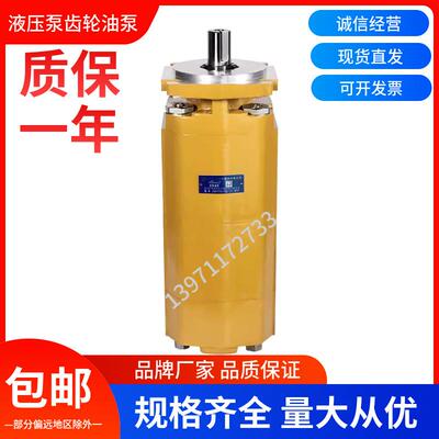 合肥长源液压齿轮油泵CBKP80/63/40-BFPL 液压泵吊机高压动力油泵