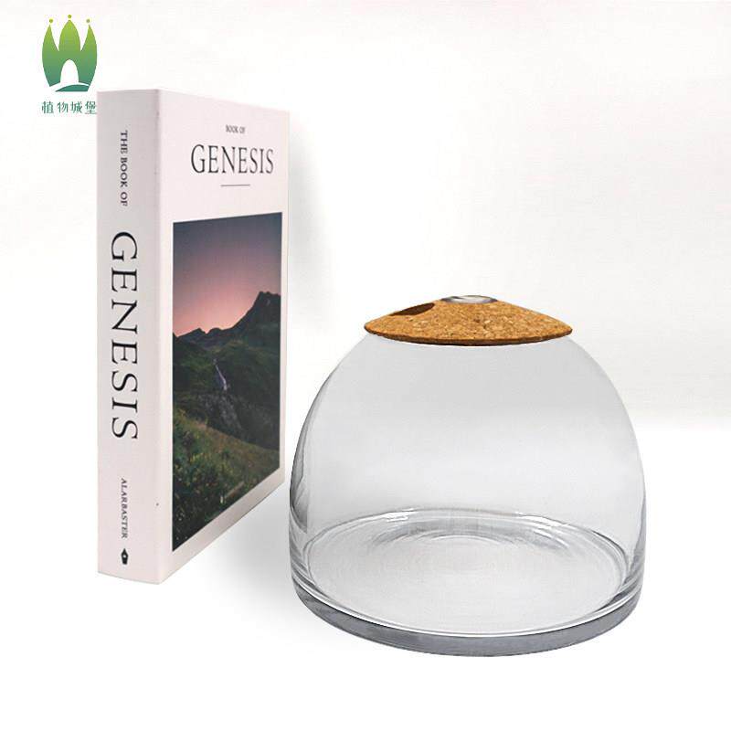 鲜活植物苔藓微景观玻璃瓶水草缸容器DIY生态瓶闷养罐DIY带盖子空