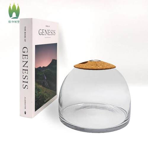 鲜活植物苔藓微景观玻璃瓶水草缸容器DIY生态瓶闷养罐DIY带盖子空