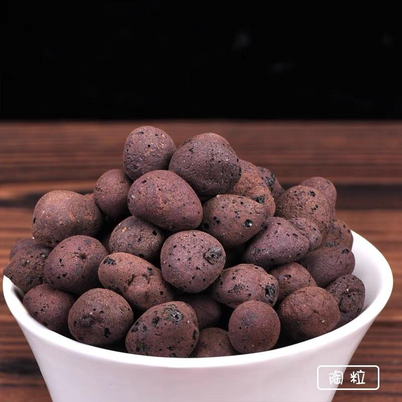 透气透气陶粒培植铺面栽培基质