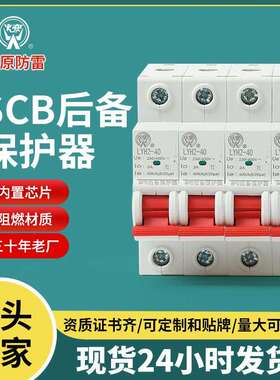 SCB电源后备保护器4P前置开关电流迅速分断器LYH2-40电涌保护器
