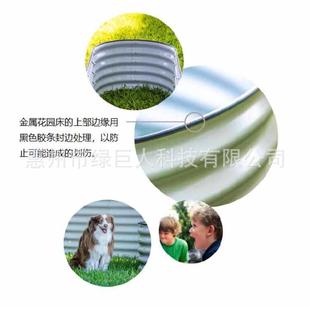 Garden Bed金属种植花园种植床花盆蔬菜栽培花圃种菜生产