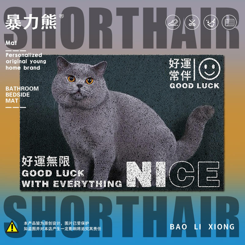 进门地垫2025新款 蓝猫英短宠物猫沉浸式干饭地垫蹭脚防带出地毯