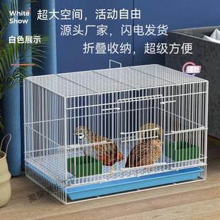 星选芦丁鸡专用养殖笼家用加密大号鸡笼子雏鸡雏鸭鹌鹑鸽子养殖