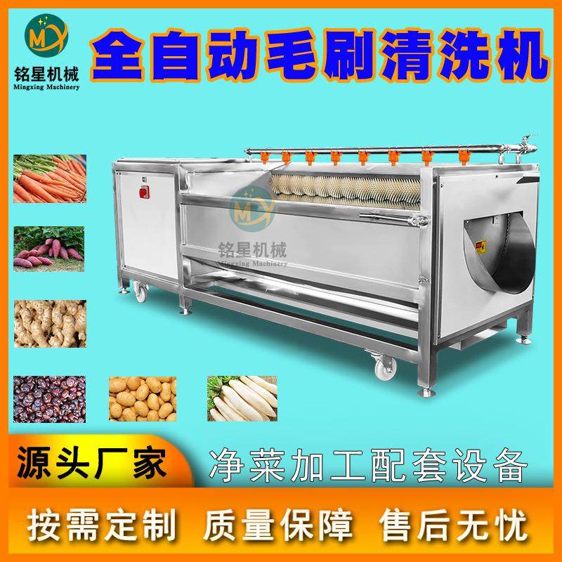 厂家供应魔芋清洗机 不锈钢水果蔬菜清洗设备 毛辊式洋芋去皮机,五金/工具,其他机械五金,淘宝优惠券,粉丝福利购,淘宝优惠卷
