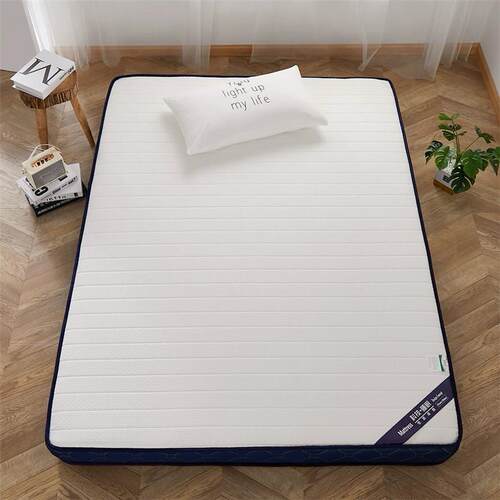 乳胶床垫软垫家用记忆棉1.2米宿舍单人学生海绵榻榻米席梦思加厚
