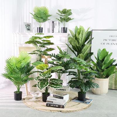 仿生绿植小型龟背竹散尾葵小号绿叶假植物盆栽桌面上造景装饰摆件