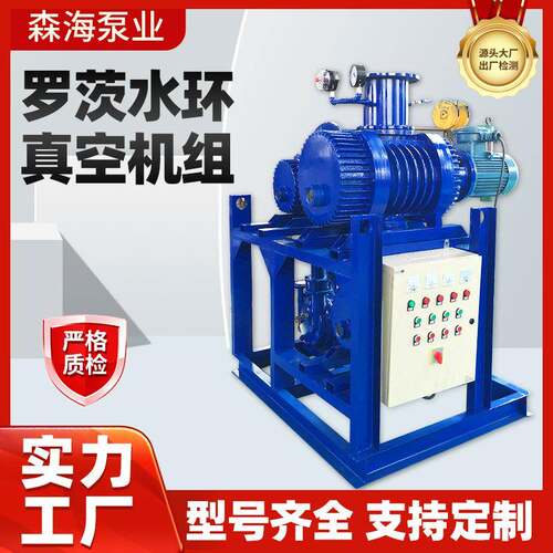 厂家直供罗茨水环真空机组卧式式真空泵食品化工用抽设备节能型