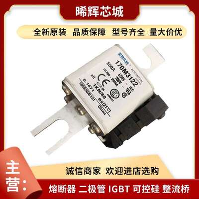 170M3418 170M3419 库存充足 型号齐全直流快速熔断器现货