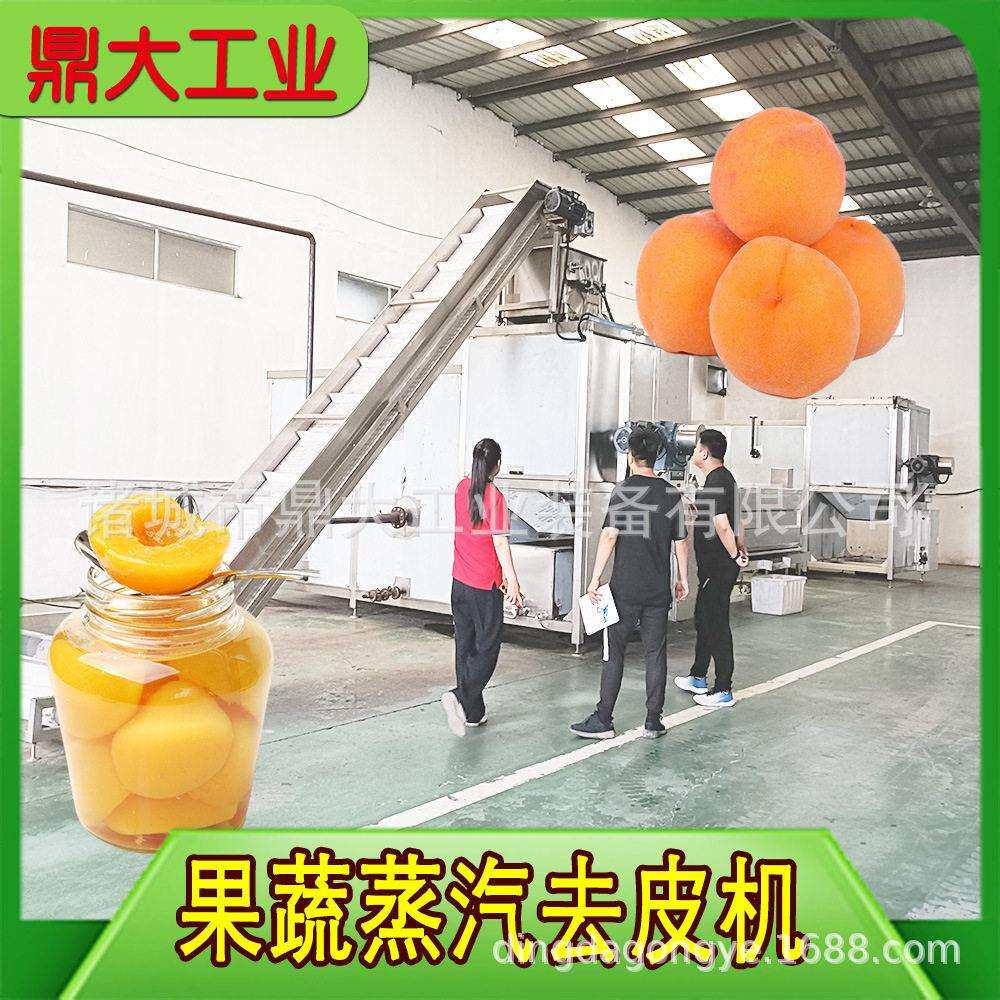蒸汽脱皮机 果蔬全自动去皮 黄桃葡萄头加工设备生产线厂家直销