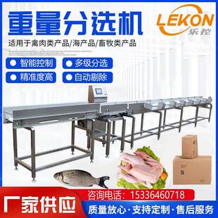 草鱼鲤鱼自动重量分拣机鱿鱼皮带式 重量分级机海产品重量分选设备